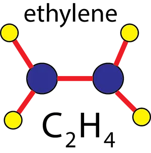 ساختار مولکول اتیلن
